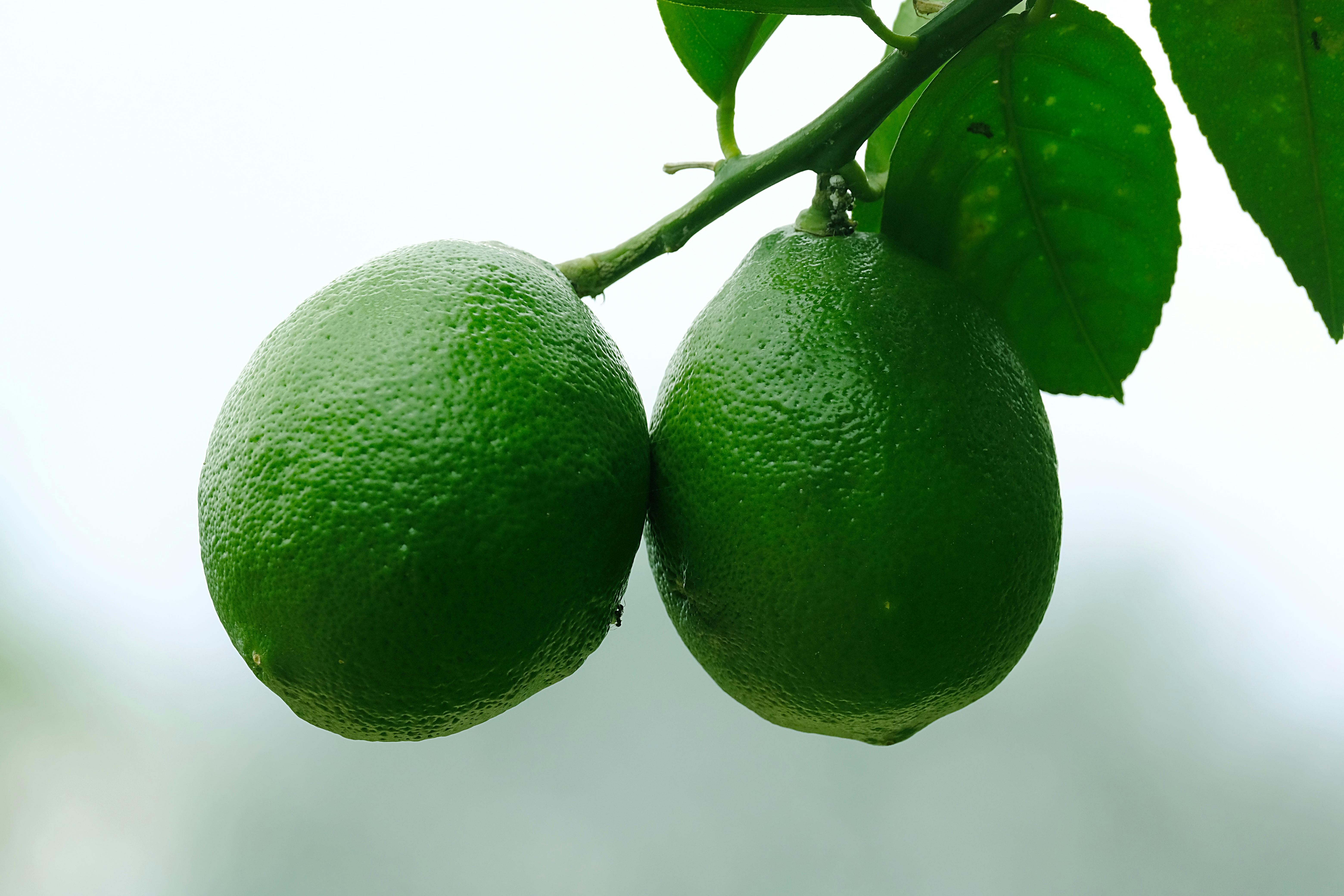 Interstellar Ingredient Hacks for Cosmic Cooking