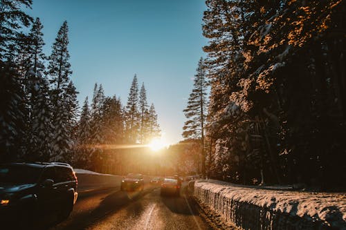 Free stock photo of ray of sunshine, road, road trip