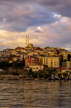 好的，我会按照您的要求进行句子优化