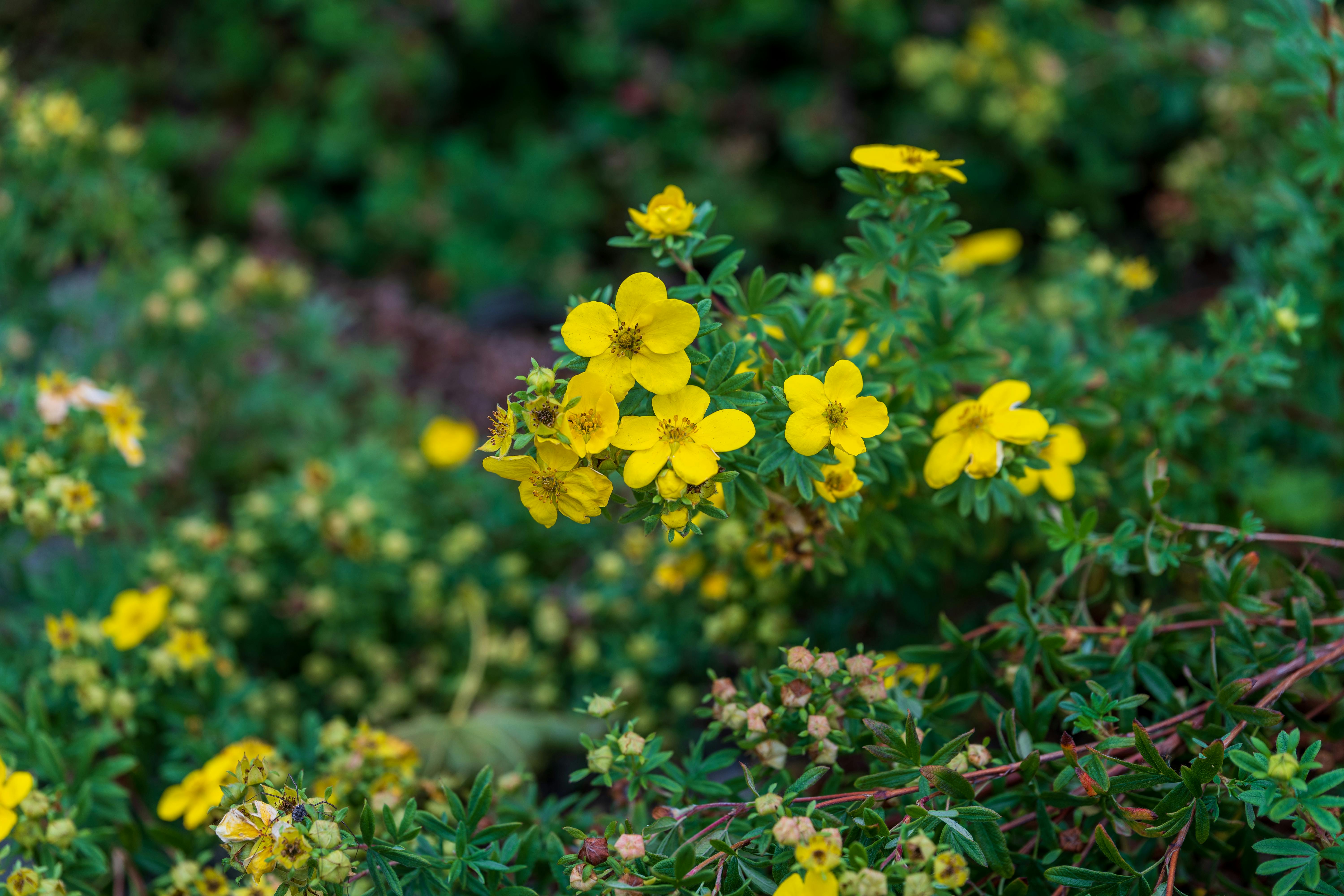 Effective Morning Routines to Boost Your Productivity and Establish Healthy Habits