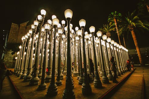 Free stock photo of lamp post, lights