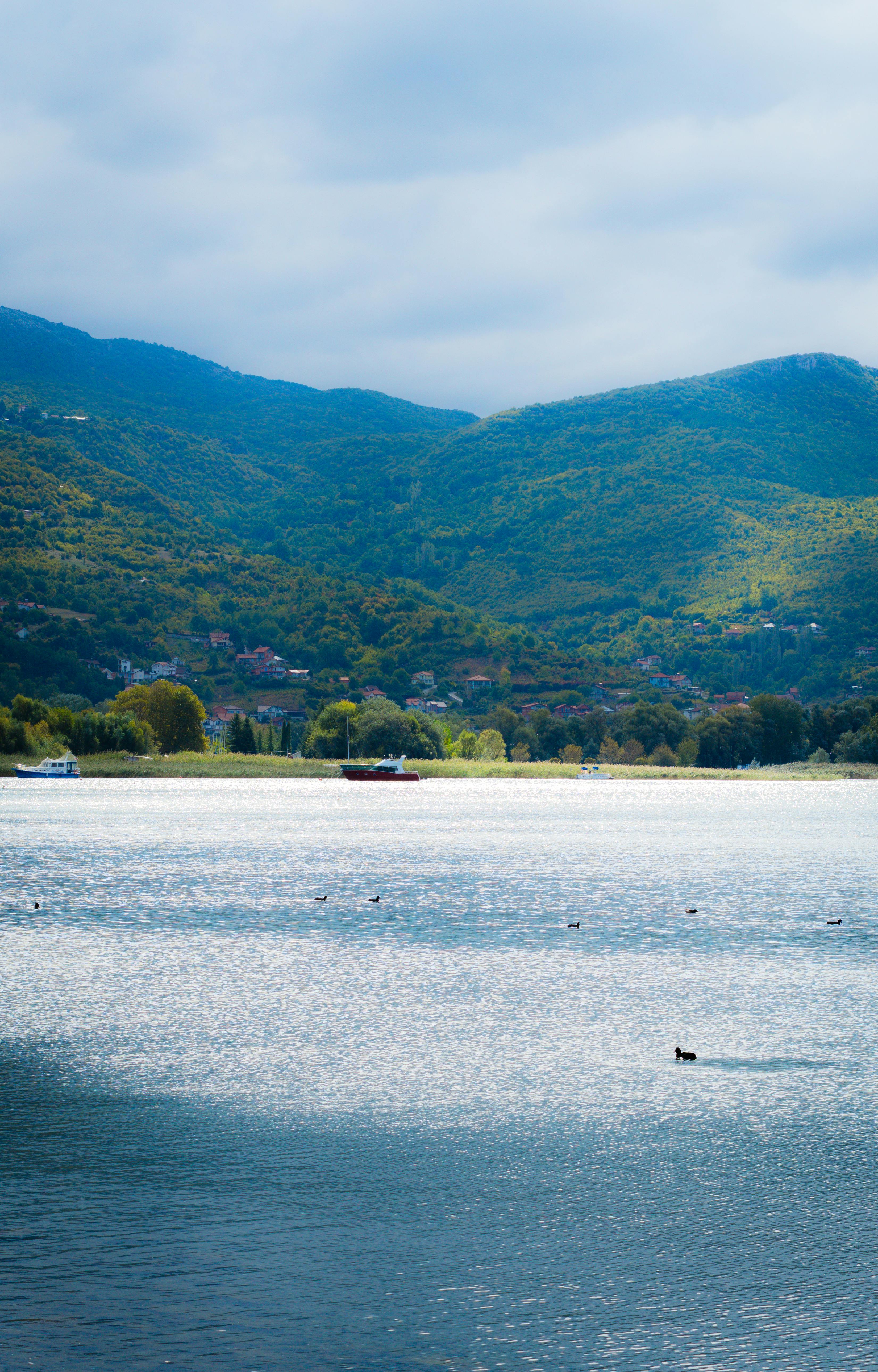 好的，我明白了