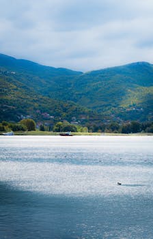 好的，我明白了