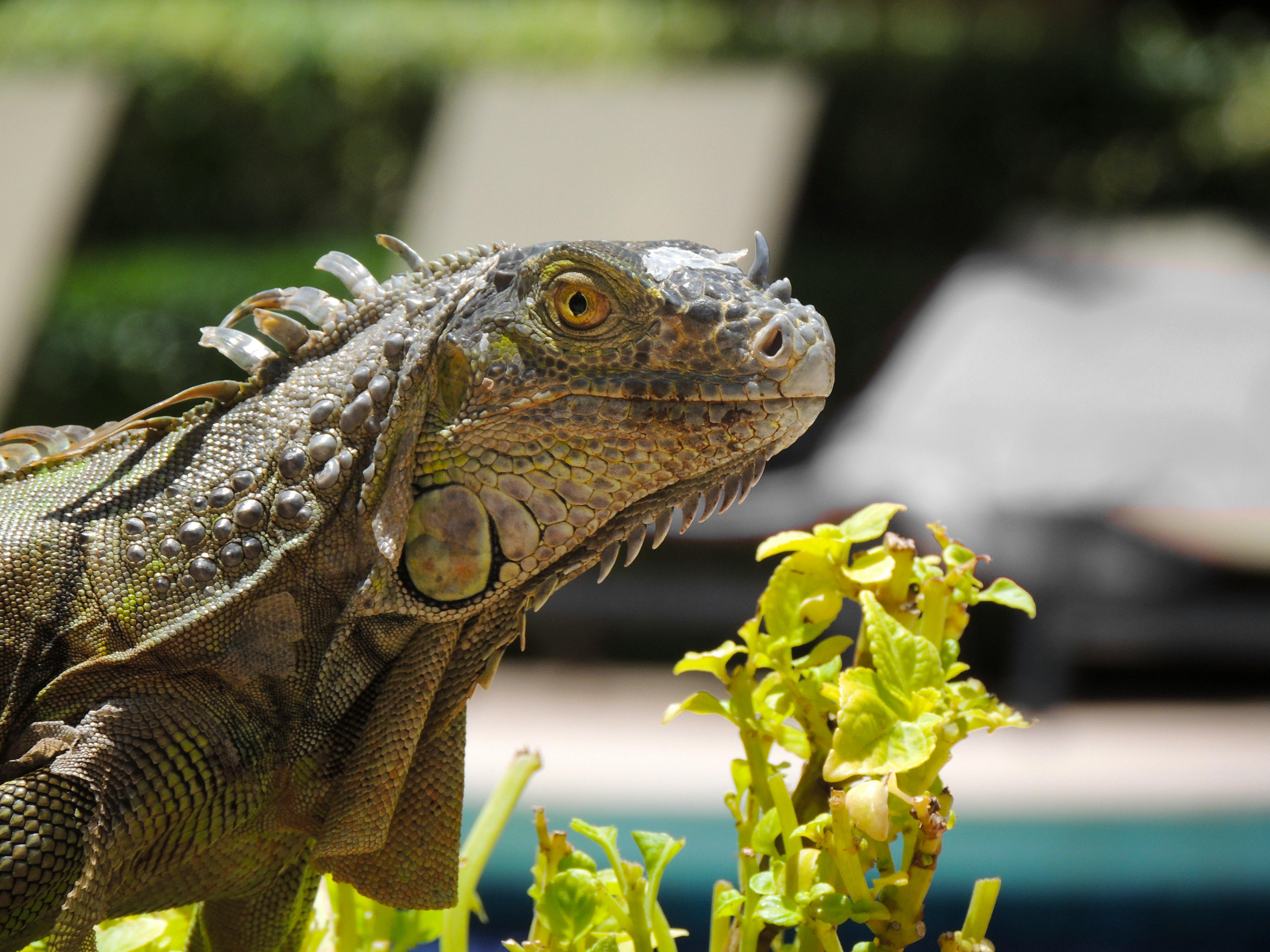 生活：前國際名模北川遙轉戰成人影業，172公分E級身材引關注