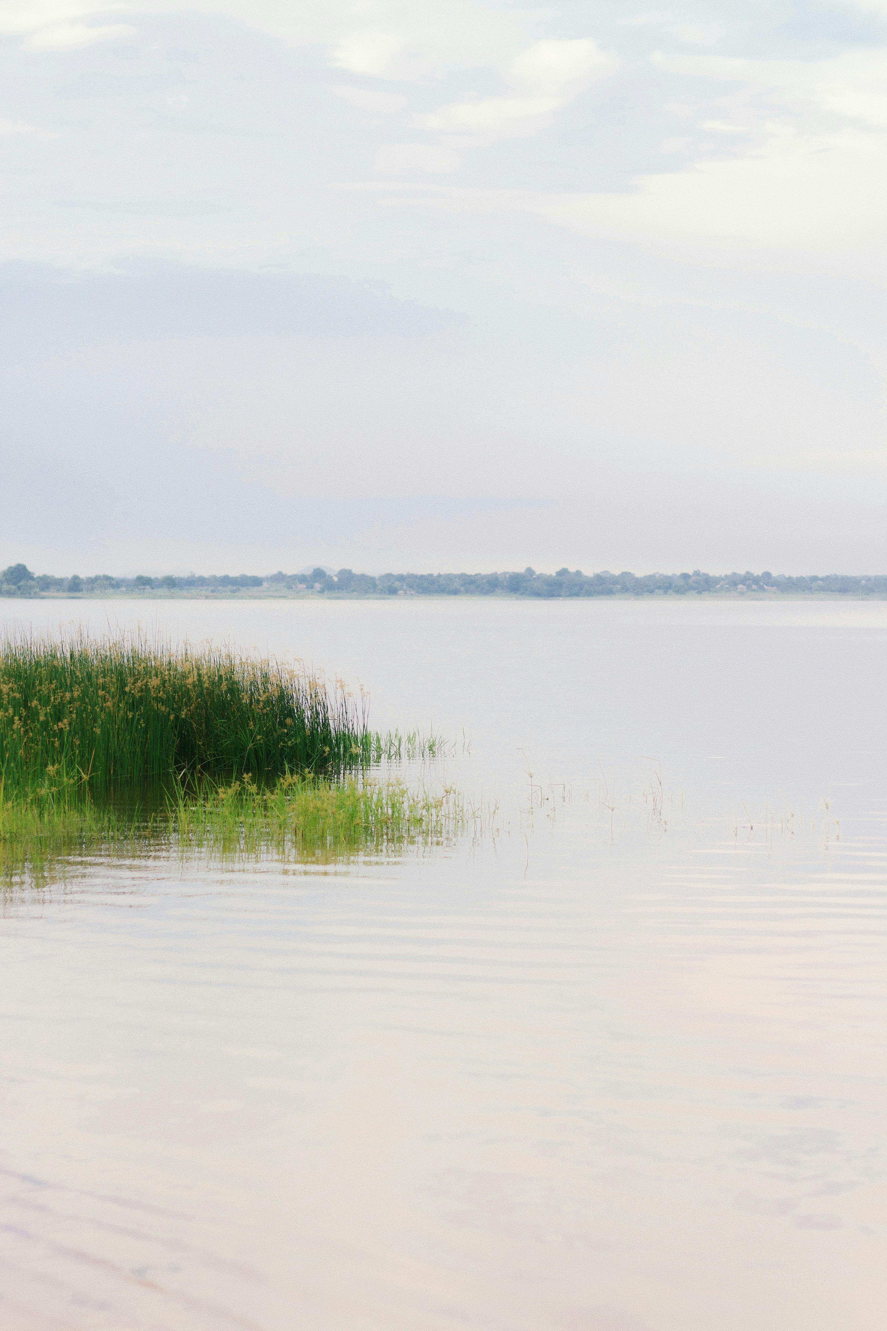 好的，我会遵循您的指示进行文本编辑