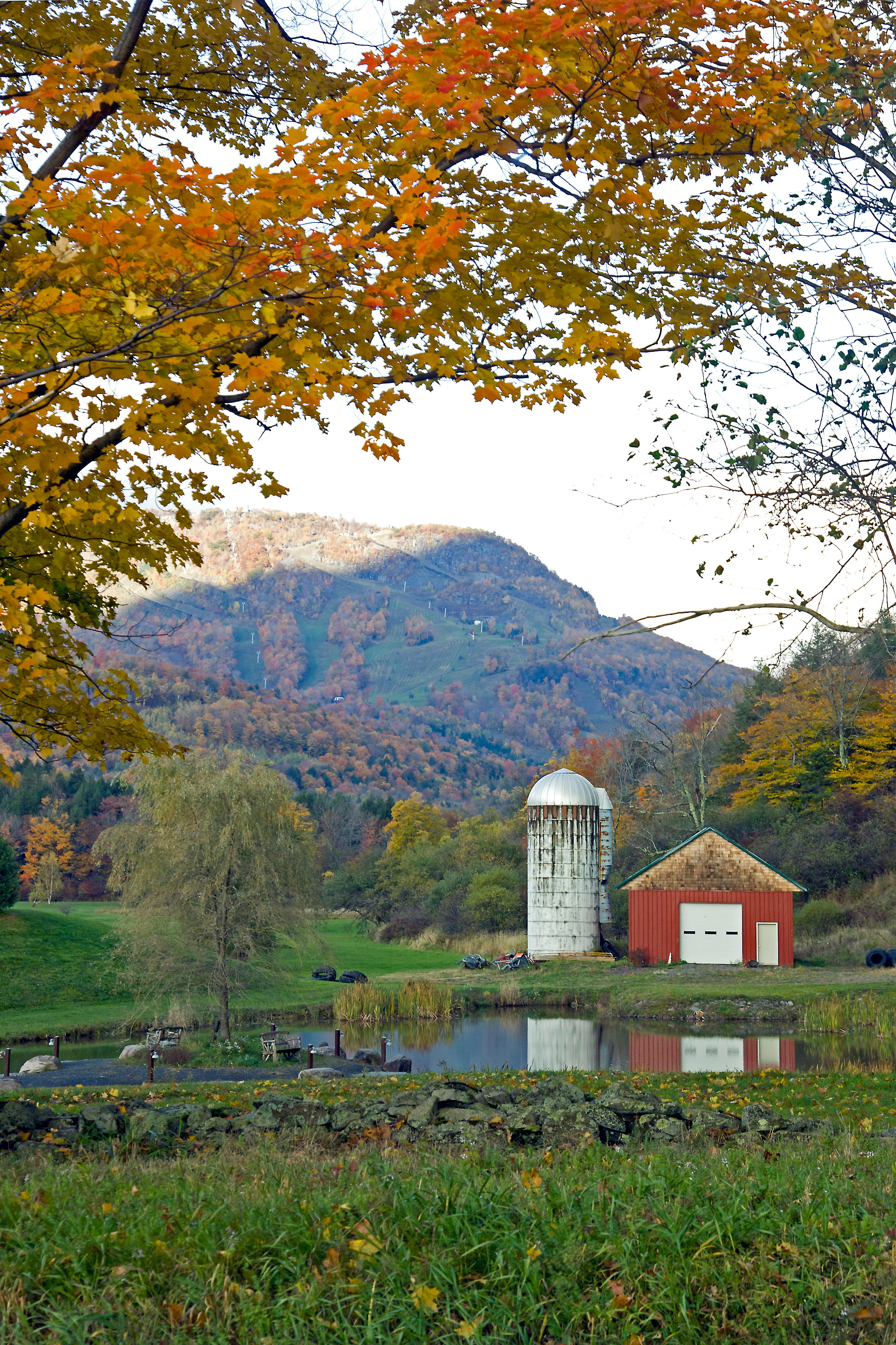 在谷仓和筒仓的背景中，猎人正在滑雪
