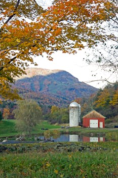 在谷仓和筒仓的背景中，猎人正在滑雪