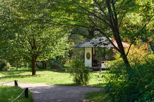 Free A tranquil forest garden with a gazebo surrounded by greenery, offering a peaceful retreat. Stock Photo