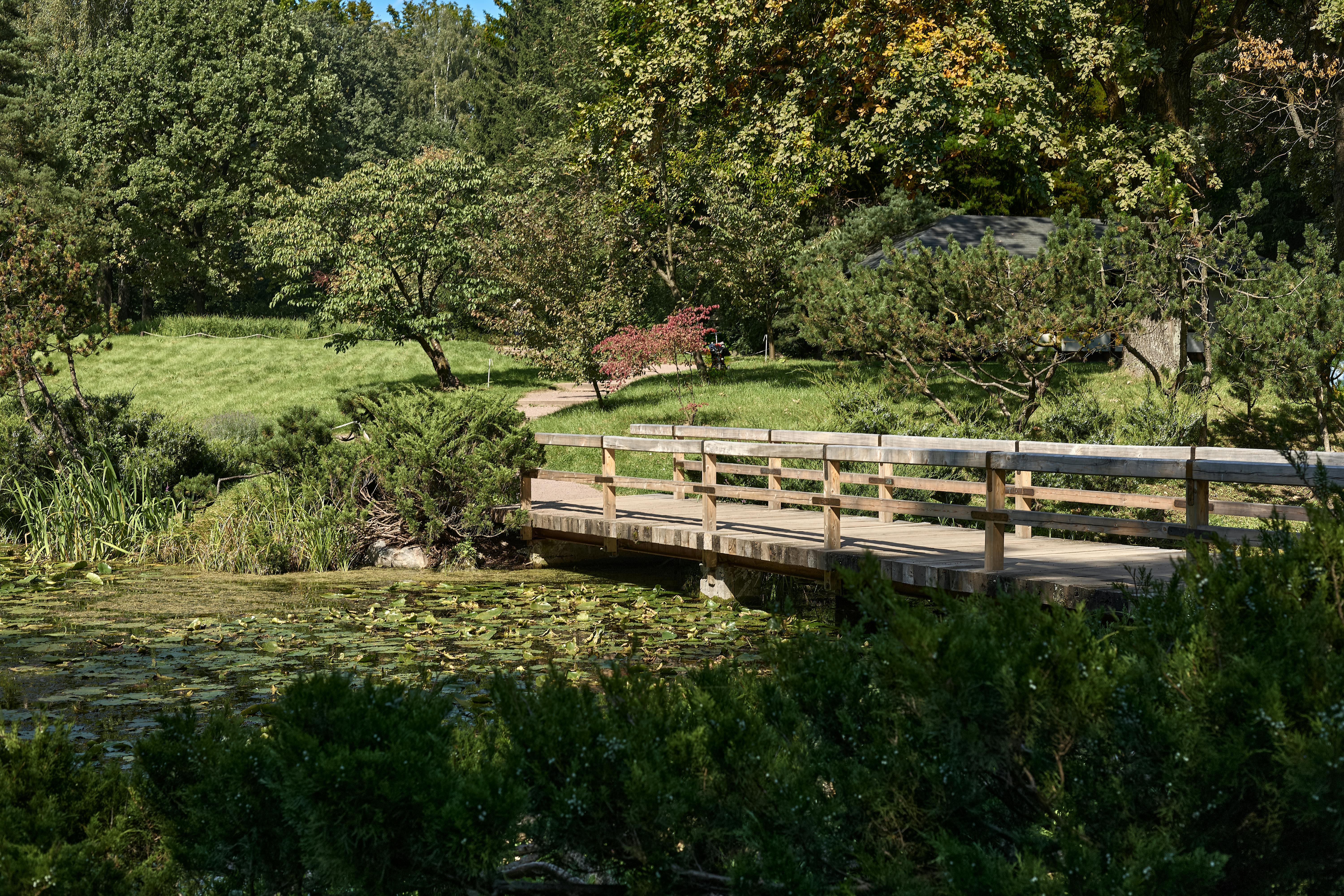 Exploring Incredible Illusionary Architecture: A Journey Through Mind-Bending Designs