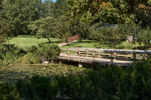 Free Tranquil scene of a wooden bridge crossing a pond surrounded by lush greenery and a clear sky. Stock Photo