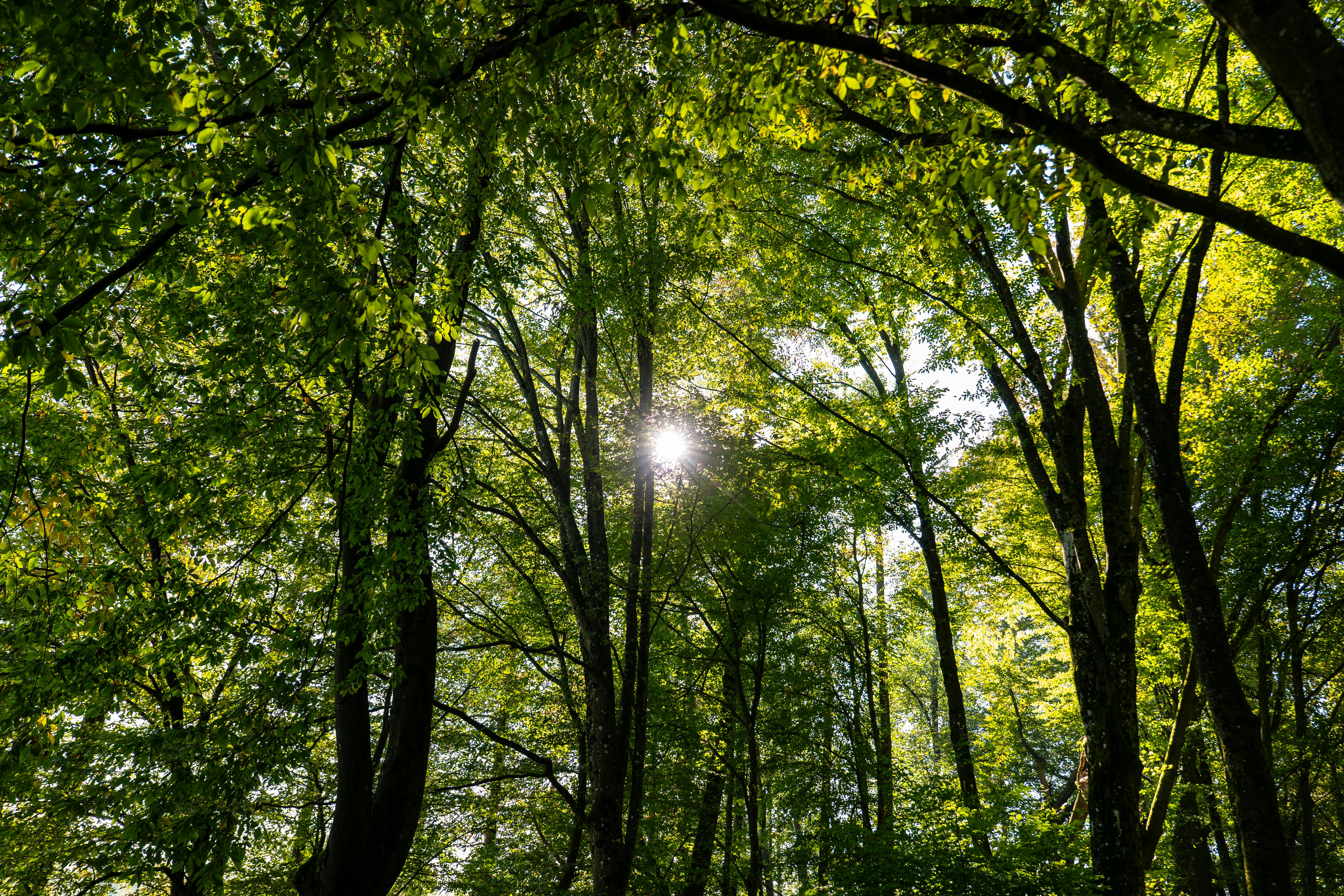 Landmarks in Veliko Tarnovo