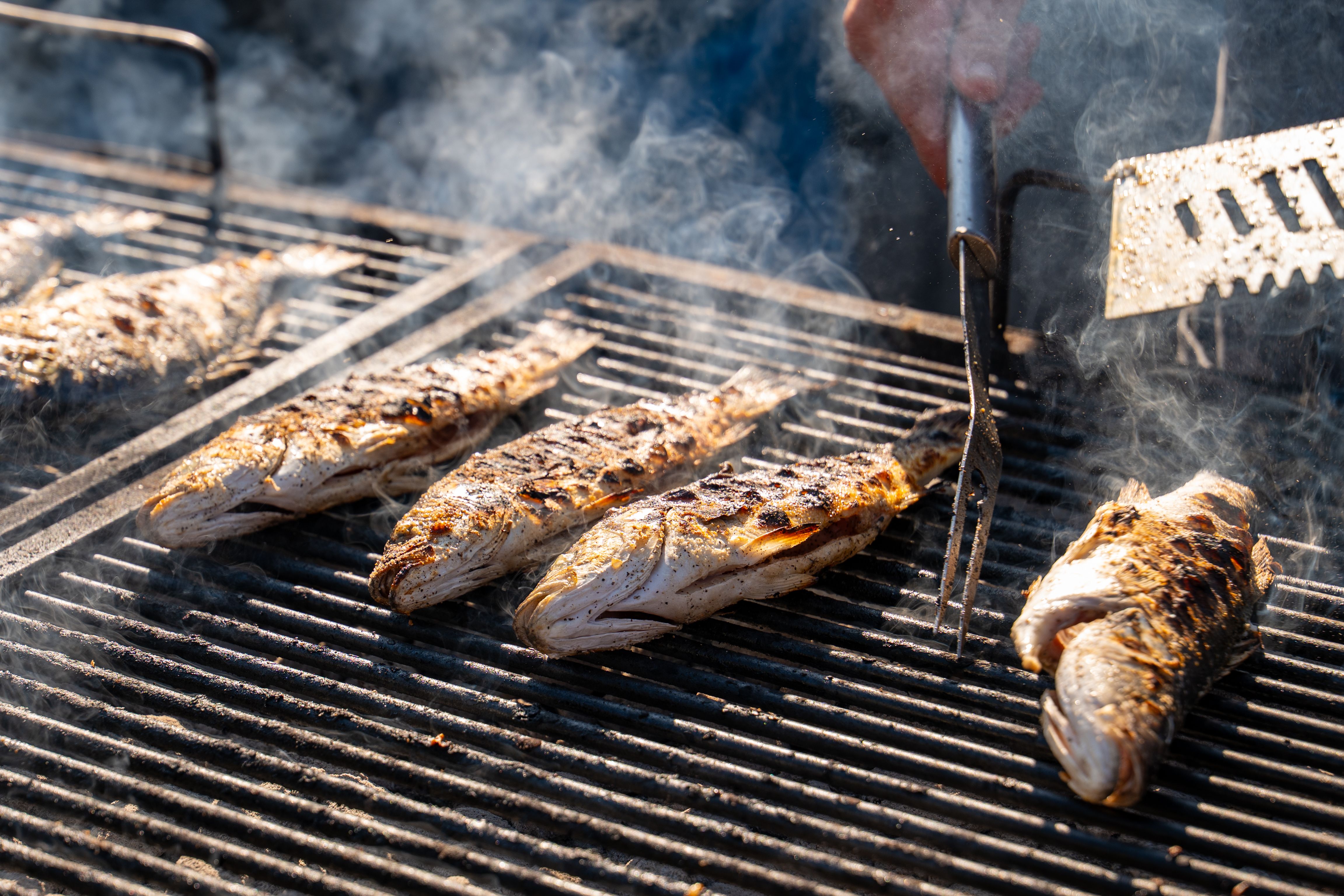Grilled fish served with vegetables and lemon