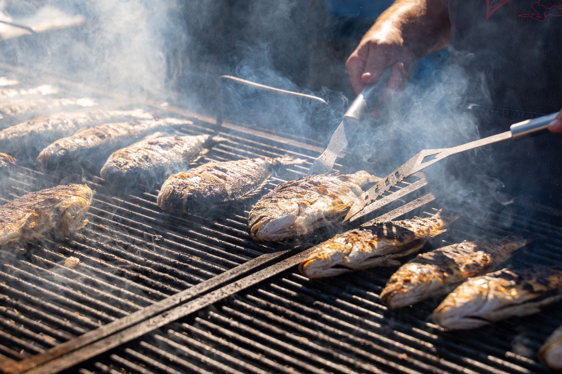 Cosa mangiare e fare oltre al mare