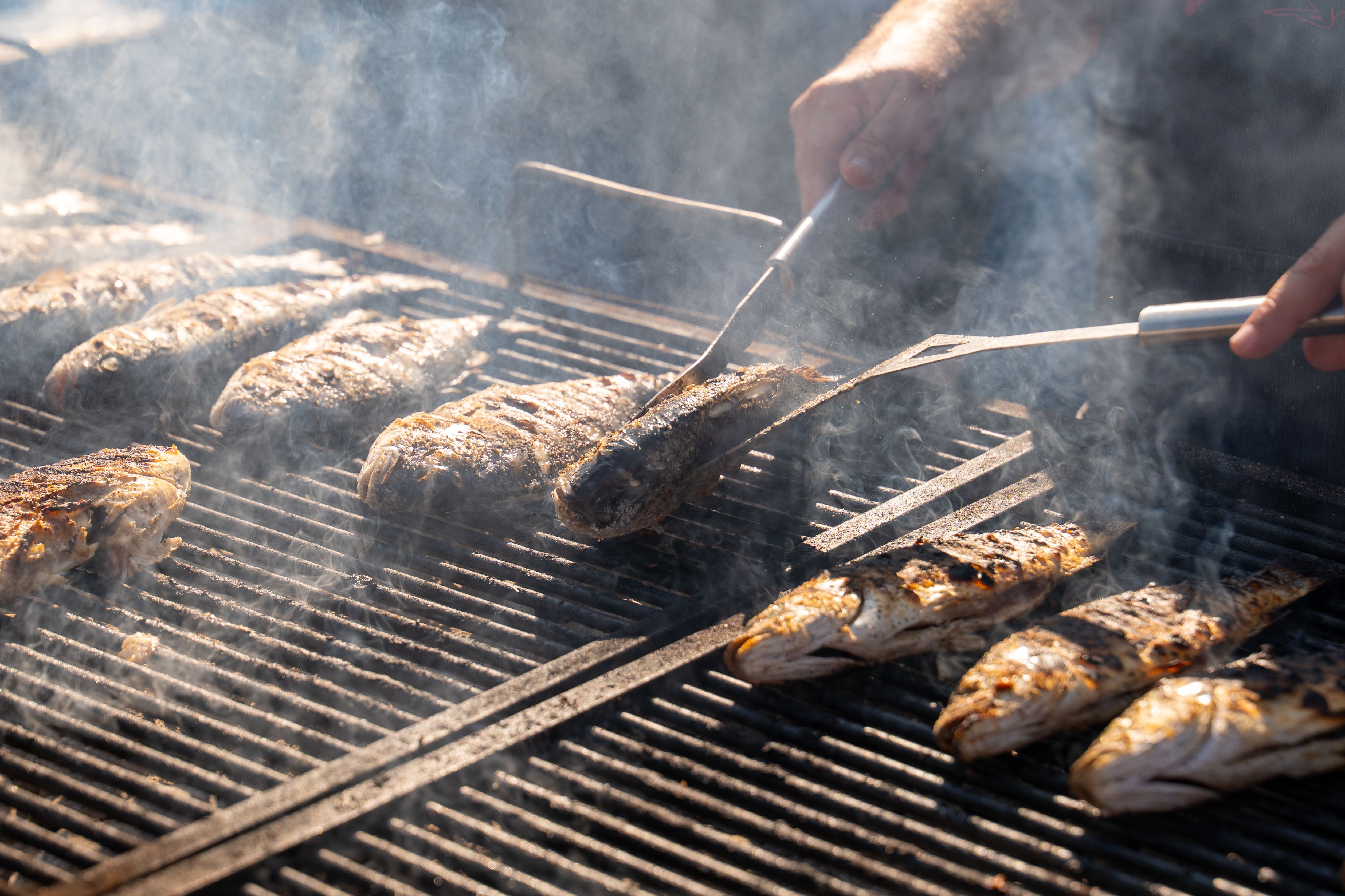 Grilled Fish on a Barbecue Grill Outdoors · Free Stock Photo