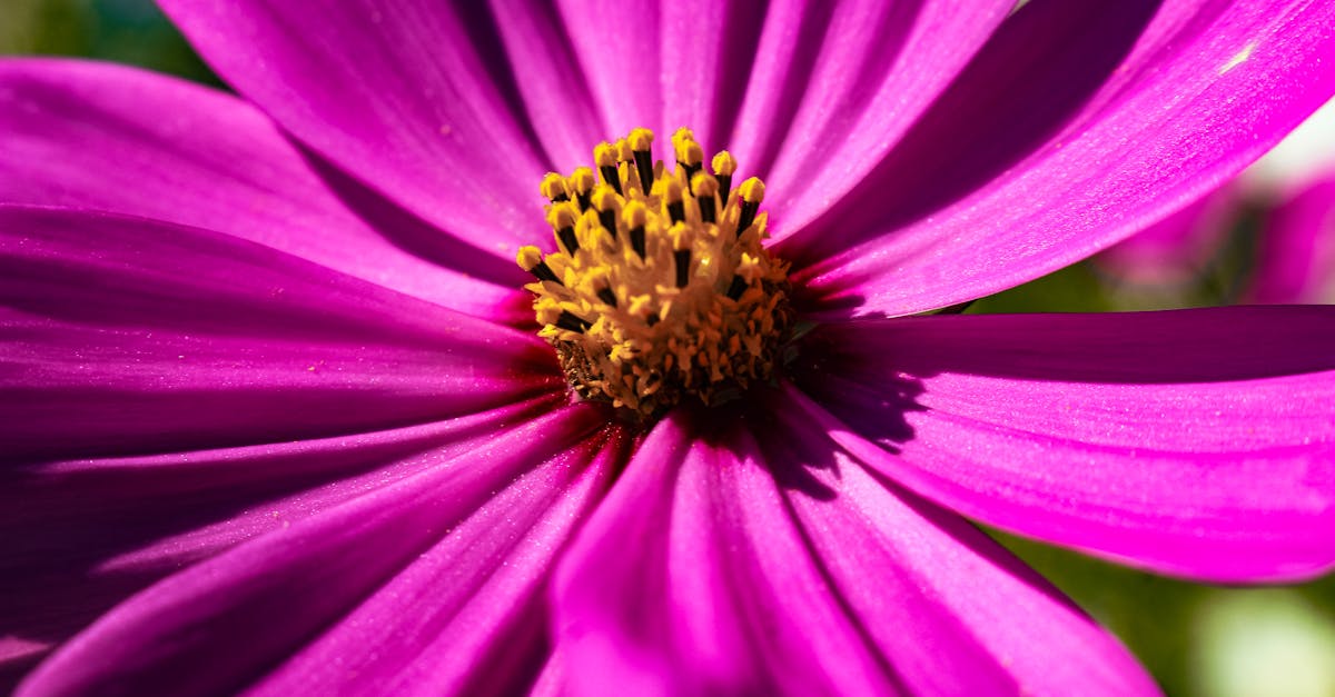 財經:比爾蓋茲推動減肥藥進入中低收入國家,背後原因揭密