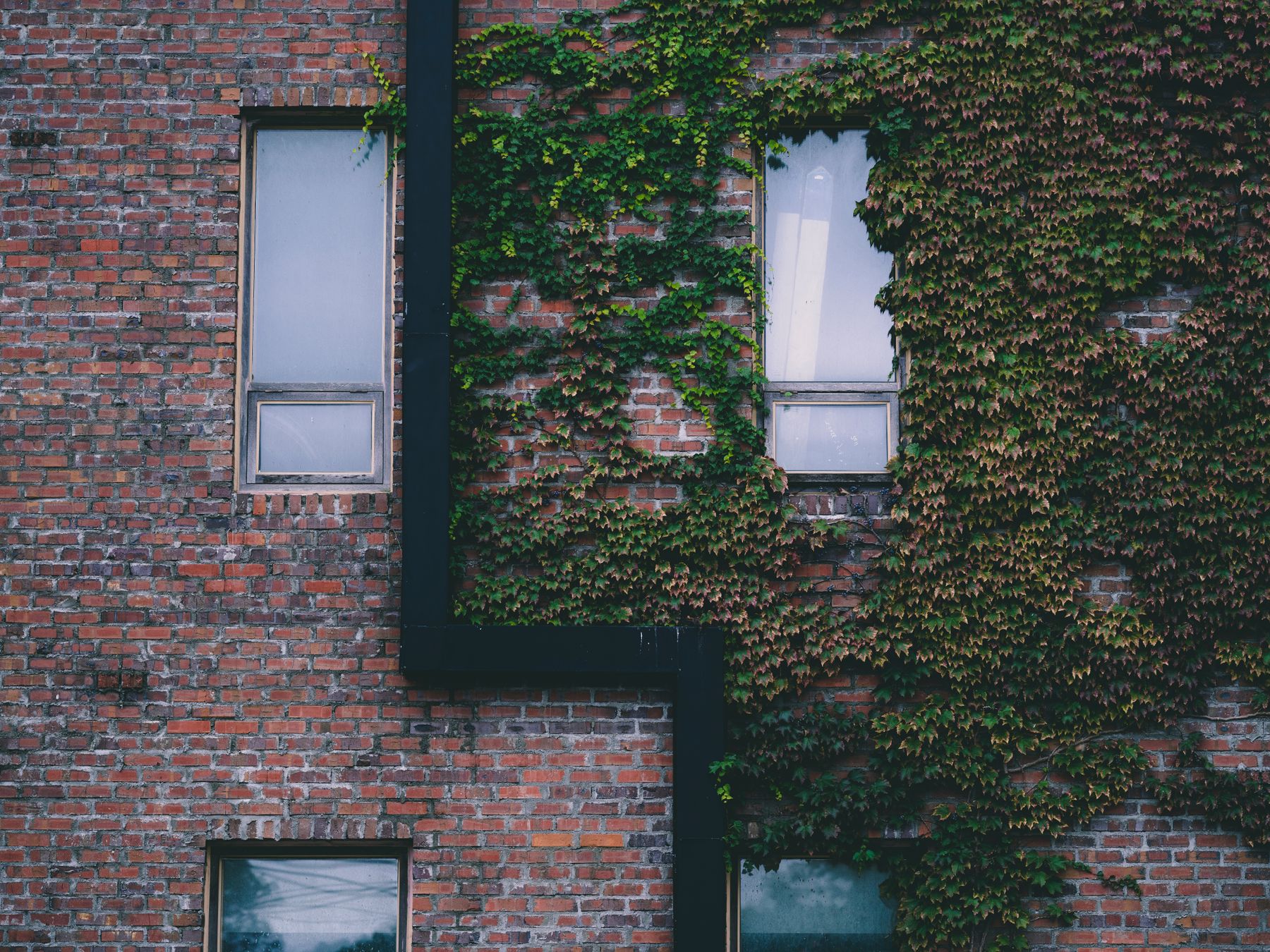 uPVC Spraying in North End — careful masking before painting begins