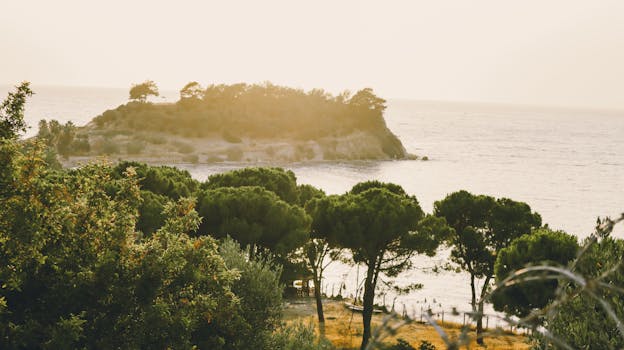 田园诗般的岛屿景观，郁郁葱葱的树木和日落时宁静的大海，唤起宁静