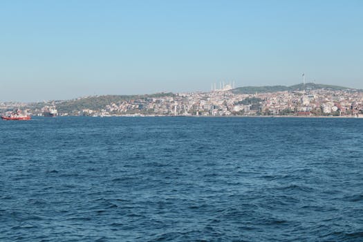 好的，以下是优化后的内容：
请告诉我您需要帮助的具体问题