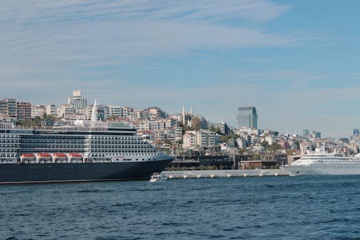 好的，请提供您希望我进行优化的文本