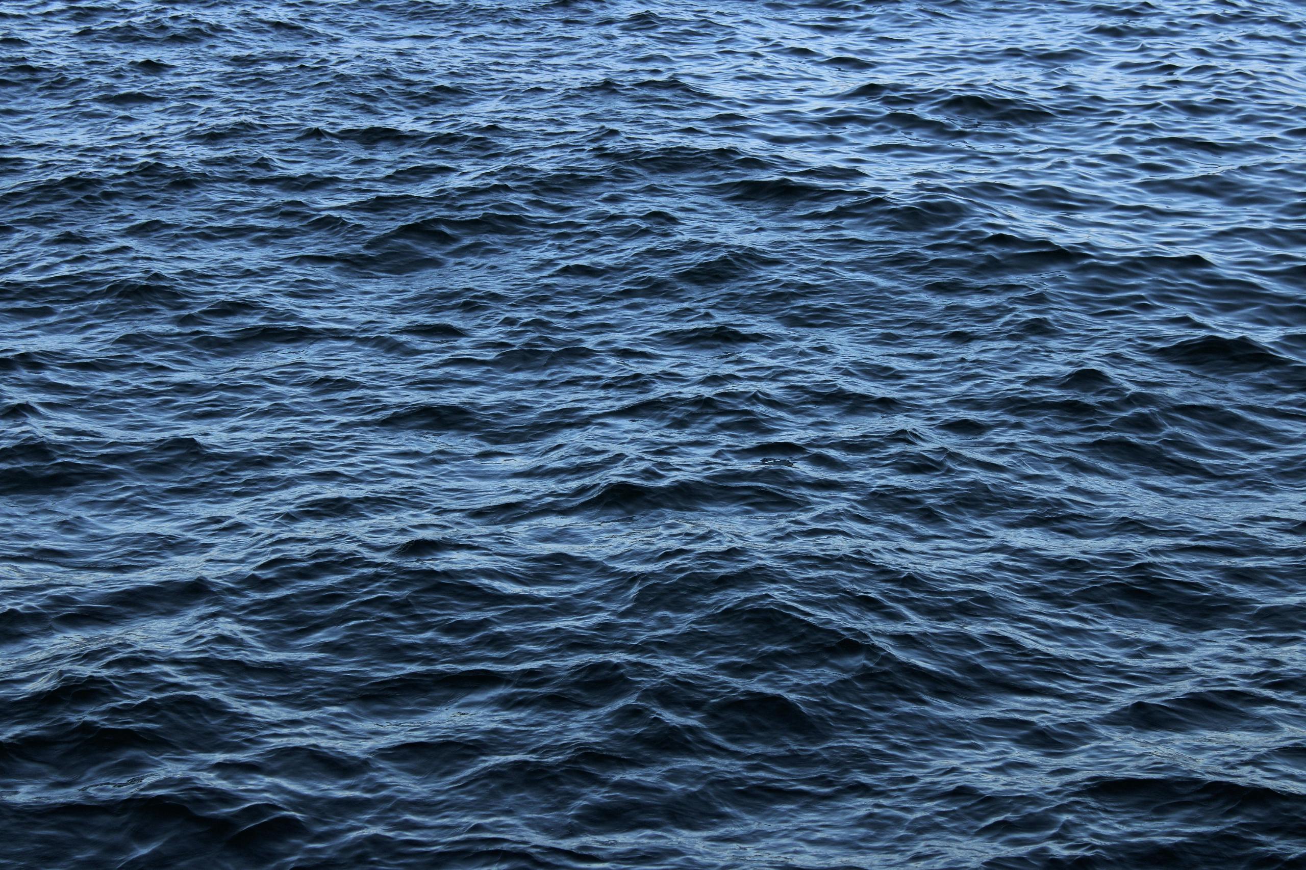 好的，请提供您需要优化的中文句子