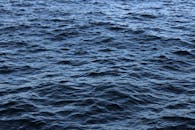 好的，请提供您需要优化的中文句子