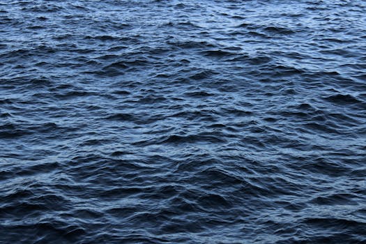 好的，请提供您需要优化的中文句子