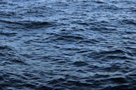 好的，我会按照您的要求进行句子的优化