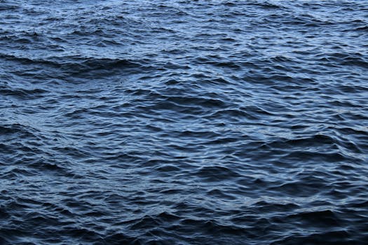 好的，我会按照您的要求进行句子的优化