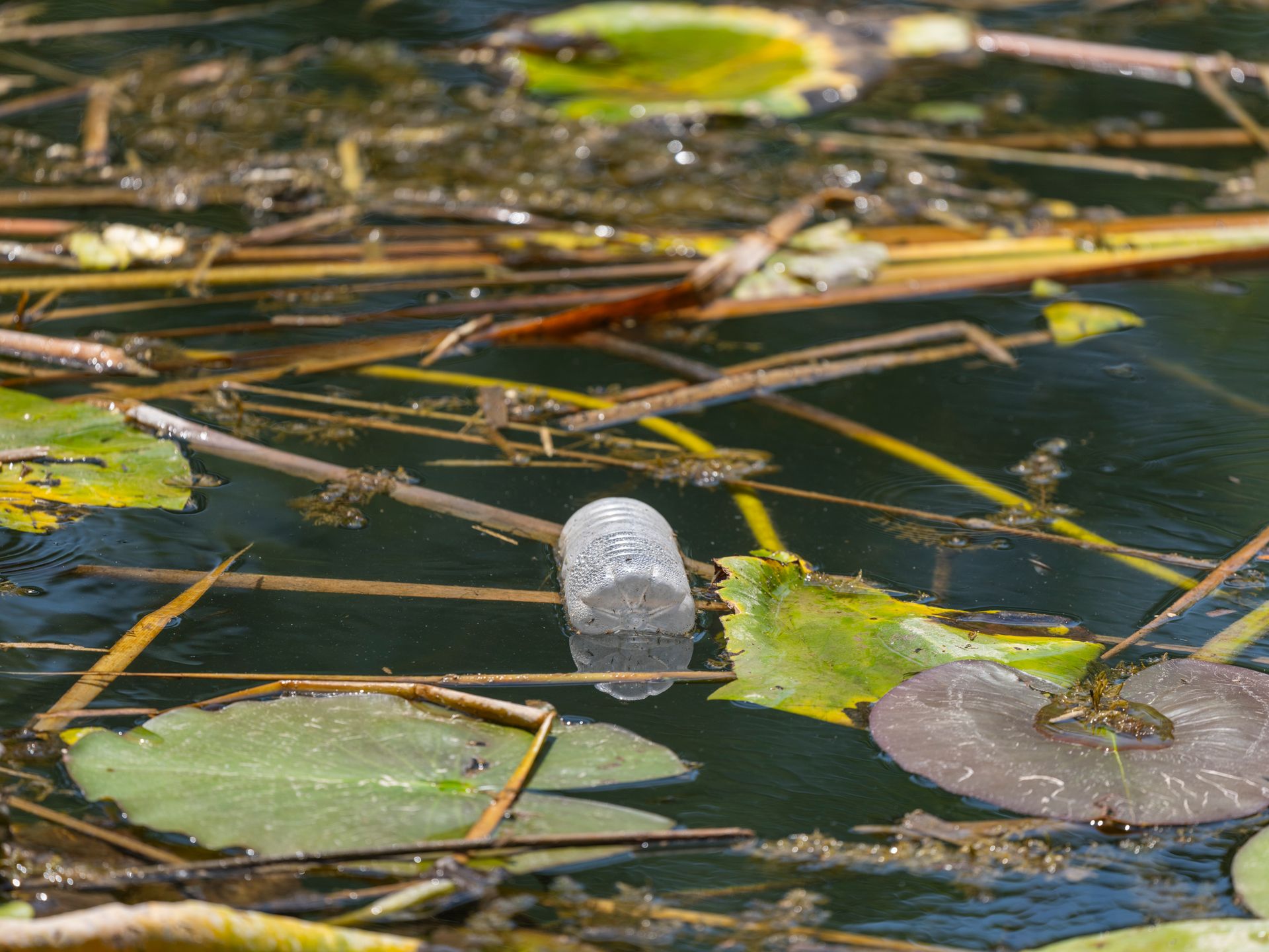 dirty water with plastic garbage and debris