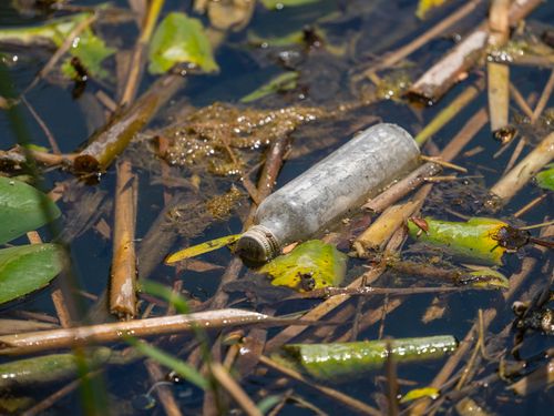 Free Discarded bottle amidst natural debris in a polluted river environment, highlighting environmental crisis. Stock Photo