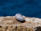 将塑料杯扔进大自然中