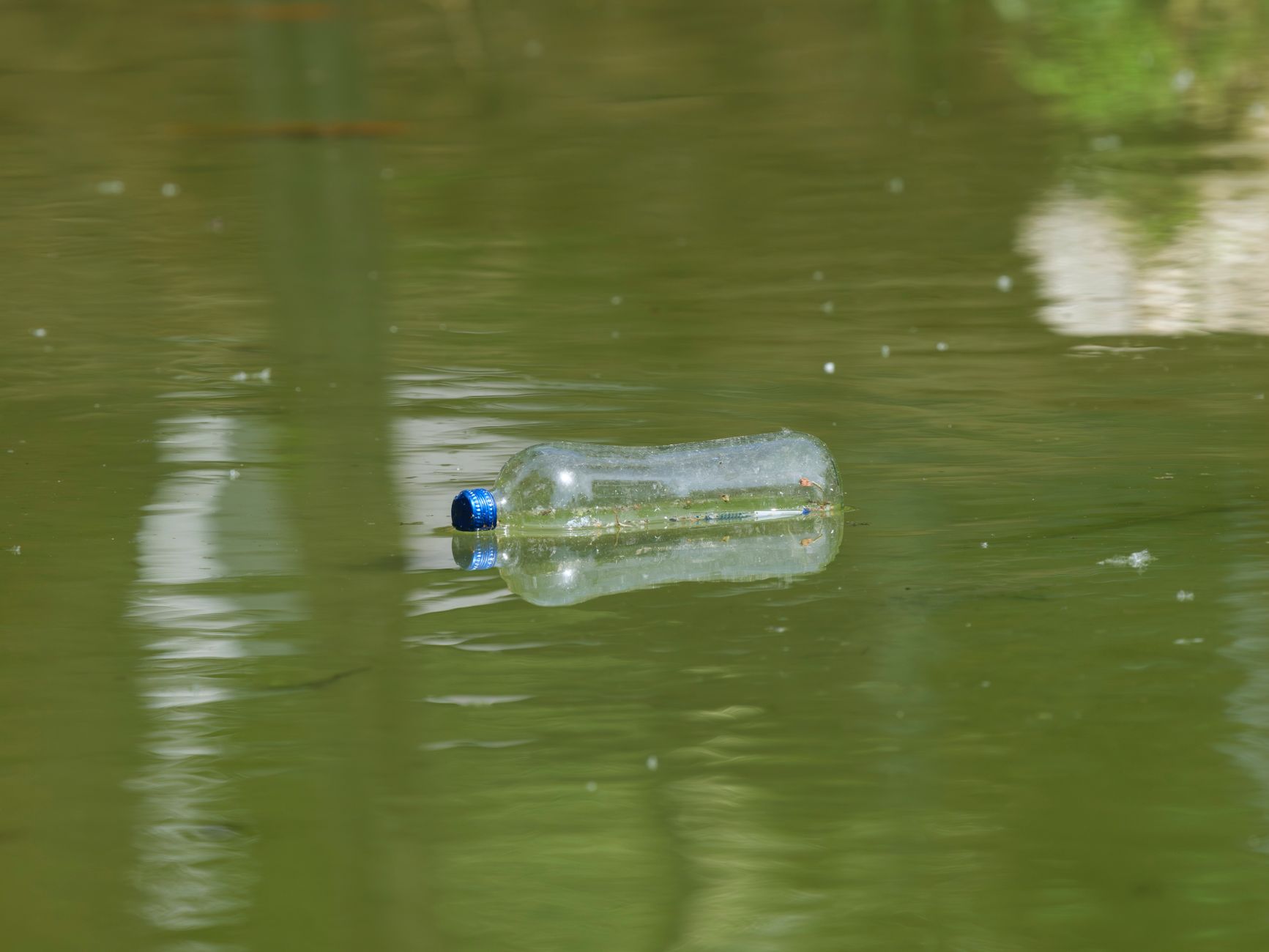 Plastic pollution remote nature — Curiosidades