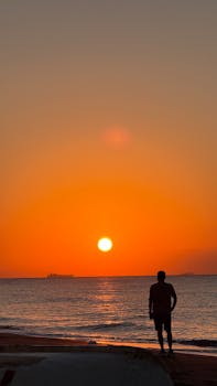 好的，请提供您需要优化的句子