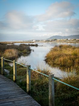 Peaceful wetland scene featuring a wooden pathway, calm waters, and distant mountains under a clear sky.