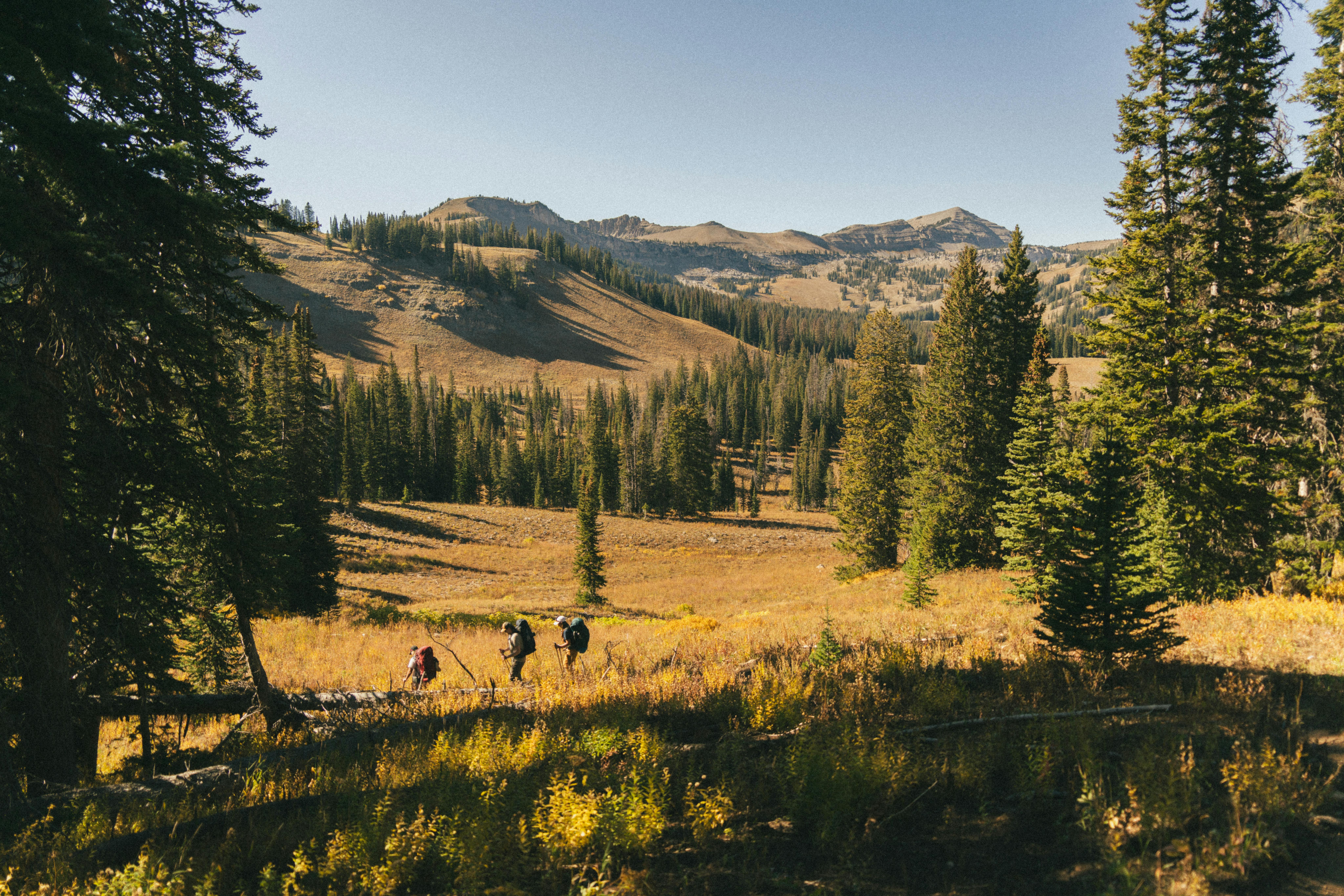 三名徒步旅行者正在怀俄明州国家公园中探索充满活力的秋季景观
