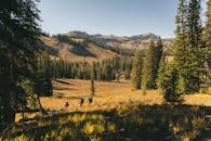 三名徒步旅行者正在怀俄明州国家公园中探索充满活力的秋季景观