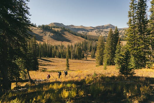 三名徒步旅行者正在怀俄明州国家公园中探索充满活力的秋季景观