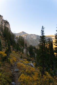 以下是优化后的句子：

