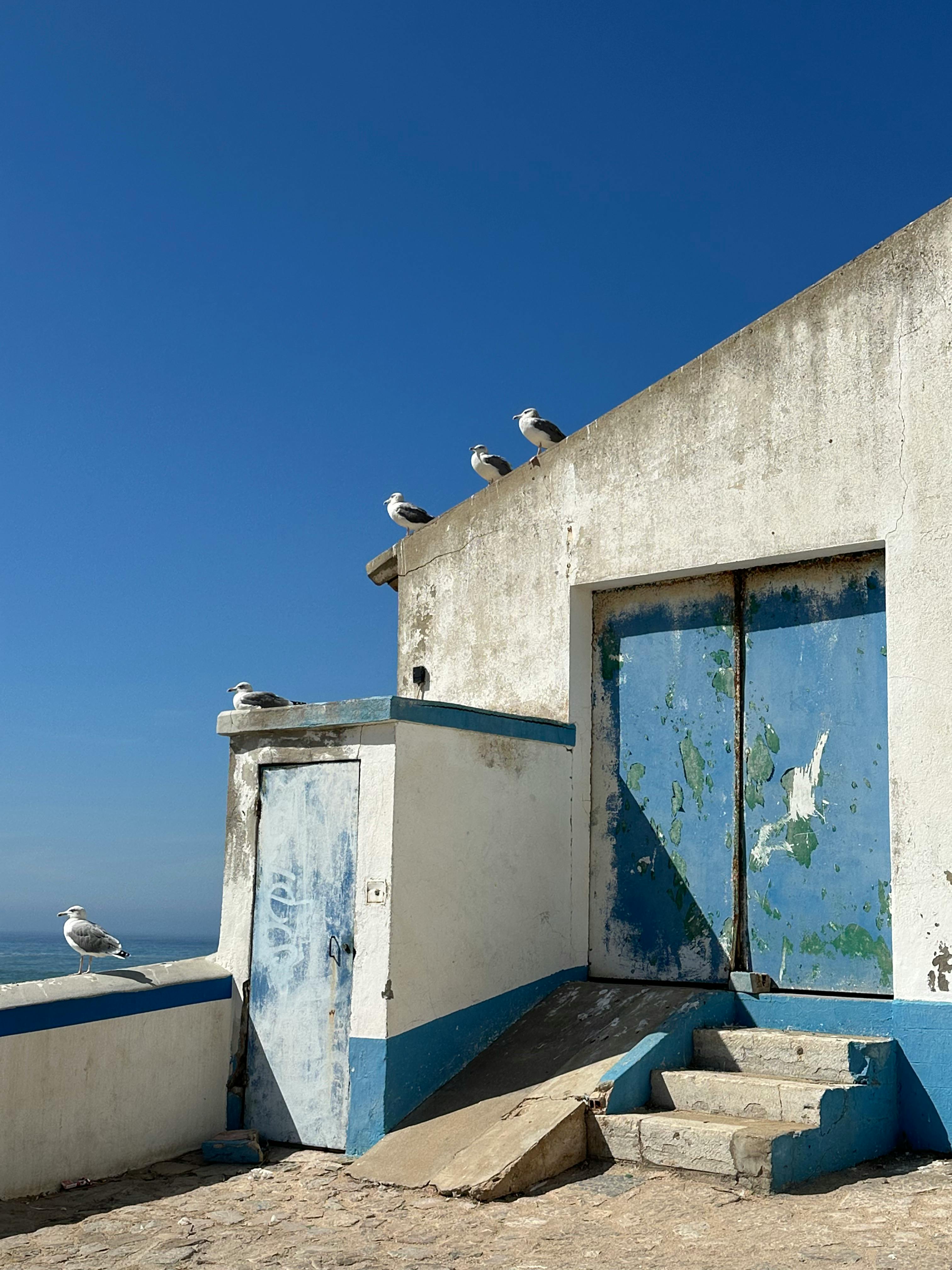 埃里西埃拉是一个地名，位于巴西