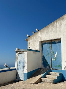 埃里西埃拉是一个地名，位于巴西