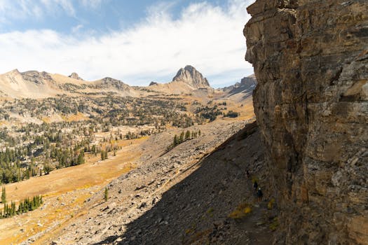 好的，我将会按照您的要求进行句子的调整