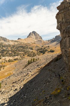阿拉斯加盆地，以其壮丽的景色和丰富的野生动物而闻名
