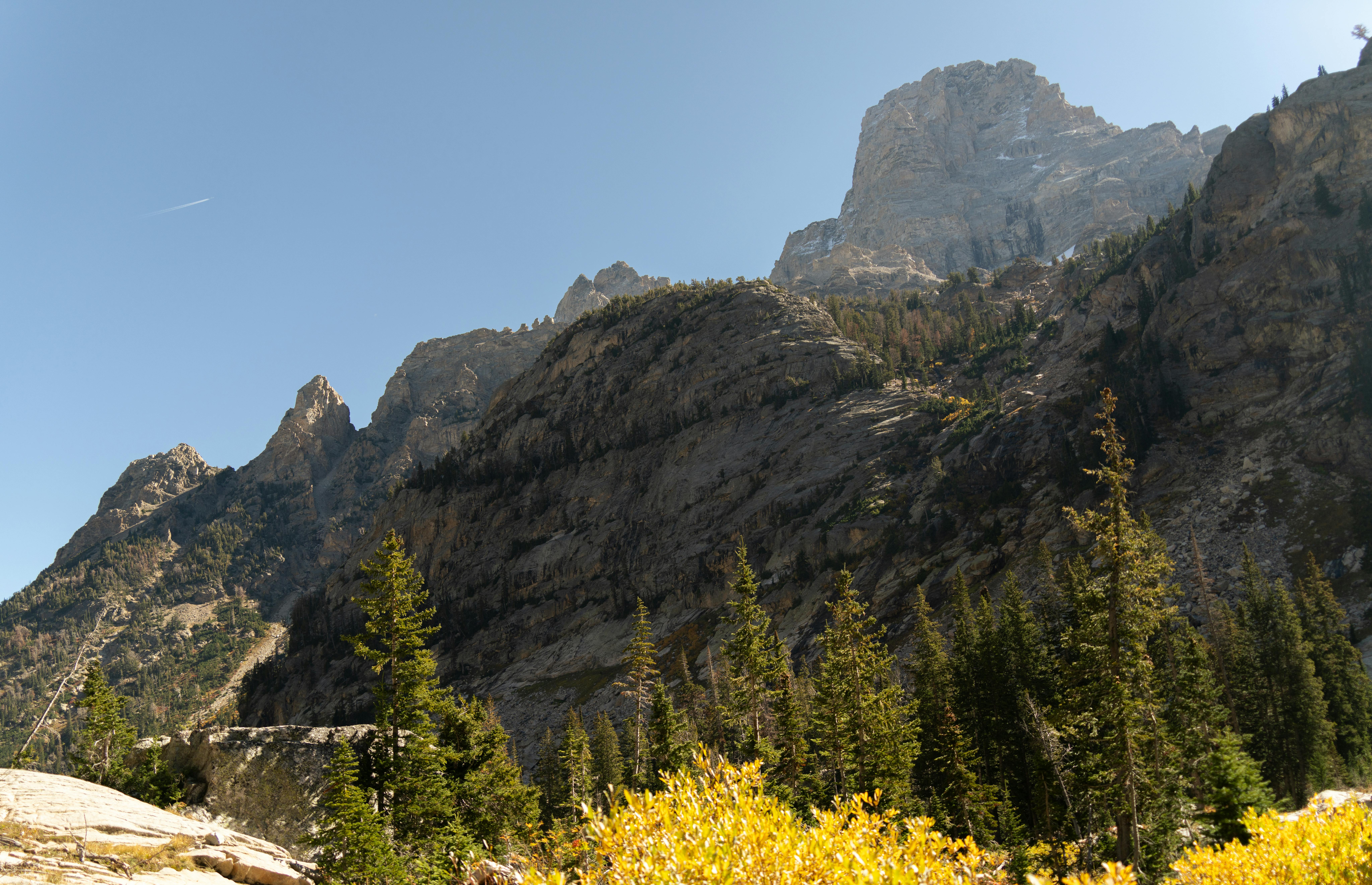 在怀俄明州大提顿山脉的秋天，风景如画，展现了崎岖的山峰和茂密的森林