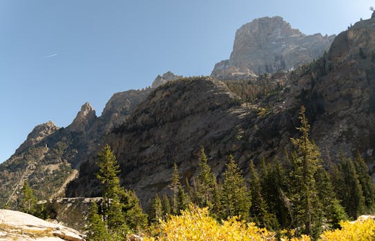 在怀俄明州大提顿山脉的秋天，风景如画，展现了崎岖的山峰和茂密的森林