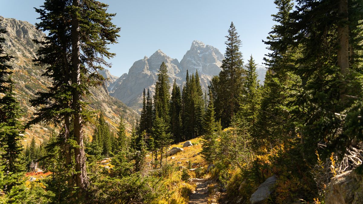 Explore the rugged beauty of the Tetons in Wyoming's Grand Teton National Park during autumn.