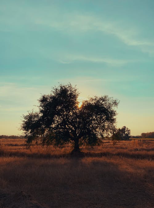 Gratis arkivbilde med himmel, natur, solnedgang