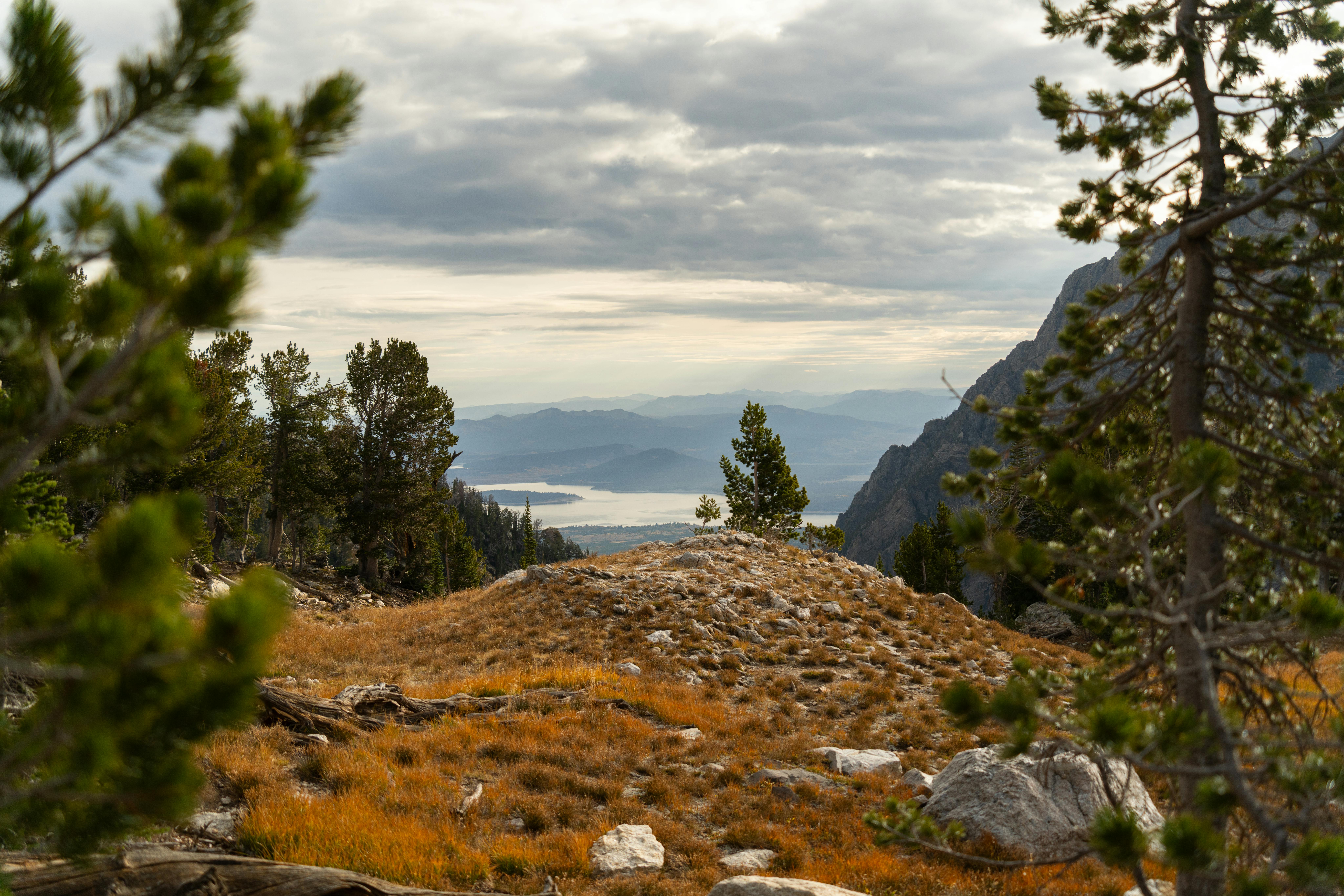 您没有提供需要优化的句子