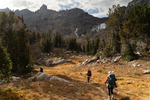 秋天的景色非常美丽，充满了冒险的气息