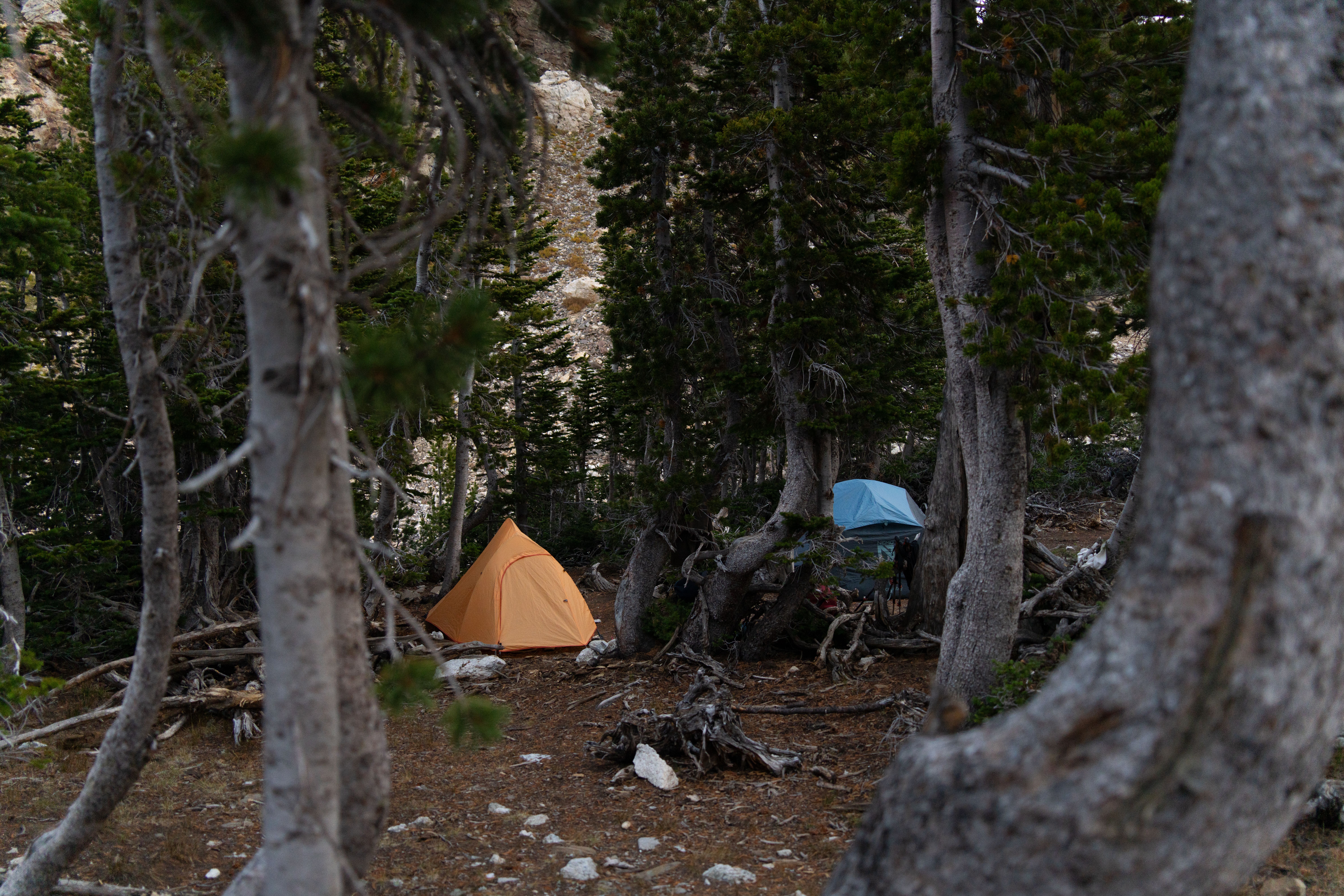 backpacking tent repair