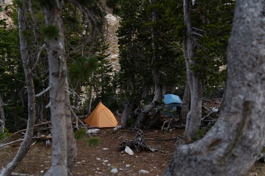 A tranquil campsite with tents nestled among trees in Wyoming's wilderness.